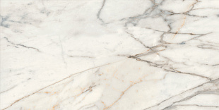 MN40 Fabula golden rt