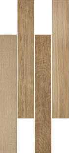 M005 TREVERFUSION NEUTRAL