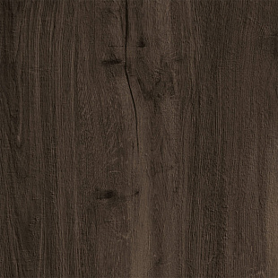 M7G1 Vero20 Quercia Rett. M7G1 Vero20 Quercia Rett.