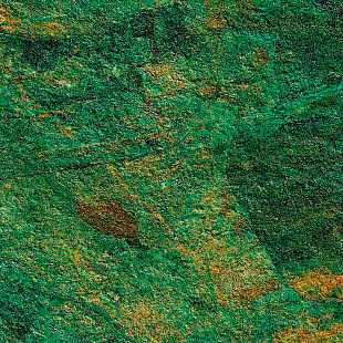 M172 Rocking Tobacco Strutt. Rett.