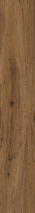 MC4S Actually Brown MC4S Actually Brown