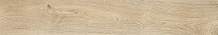 MH89 TREVERKEVER NATURAL (0.96) MH89 TREVERKEVER NATURAL (0.96)