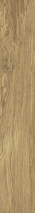 M5SD Treverklook honey rt M5SD Treverklook honey rt