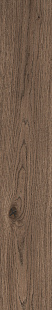MMDD Vivo castano rt MMDD Vivo castano rt