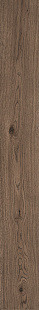 MMD7 Vivo castano rt MMD7 Vivo castano rt
