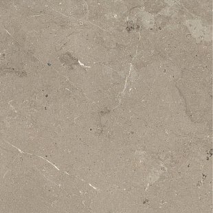 Известняк Серо-коричневый Ретт / M7E5 Limestone Taupe rett.