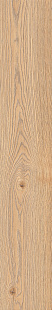 MFDC Alma miele rt MFDC Alma miele rt