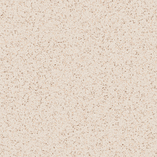 MMYR Frammento macro cotto r10 rt MMYR Frammento macro cotto r10 rt