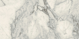 M391 Allmarble Calacatta Extra Lux Rett.
