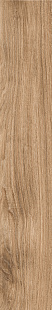 MC1F Actually Beige MC1F Actually Beige