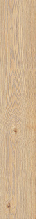 MFDD Alma beige rt MFDD Alma beige rt