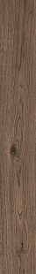 MN97 Vivo castano rt MN97 Vivo castano rt