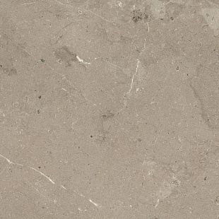 Известняк Серо-коричневый Ретт / M7E9 Limestone Taupe rett.
